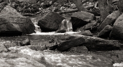 The River B&W 